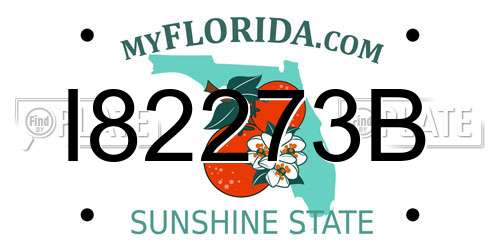 I82273B Florida License Plate