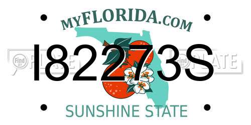 I82273S Florida License Plate