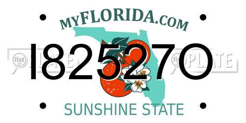 I82527O Florida License Plate