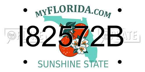 I82572B Florida License Plate