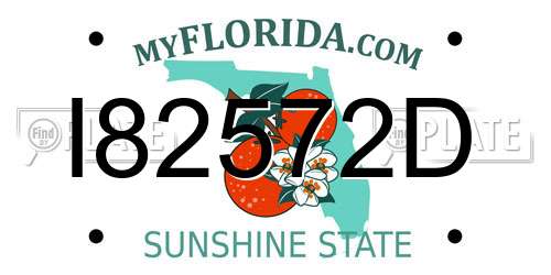 I82572D Florida License Plate