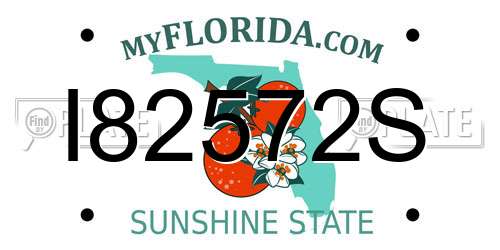 I82572S Florida License Plate