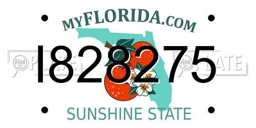I828275 Florida License Plate