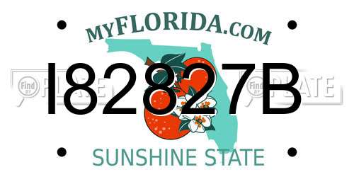 I82827B Florida License Plate