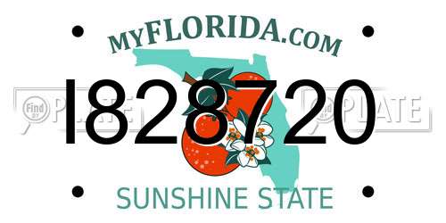 I828720 Florida License Plate
