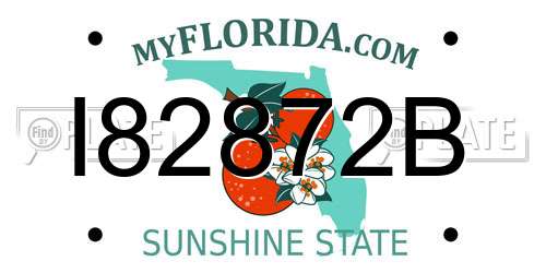 I82872B Florida License Plate