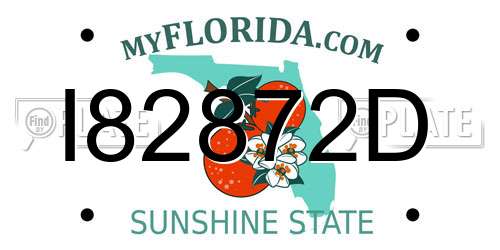 I82872D Florida License Plate