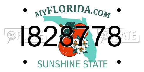 I828778 Florida License Plate