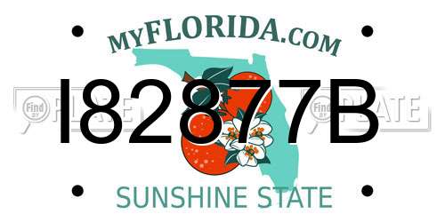 I82877B Florida License Plate