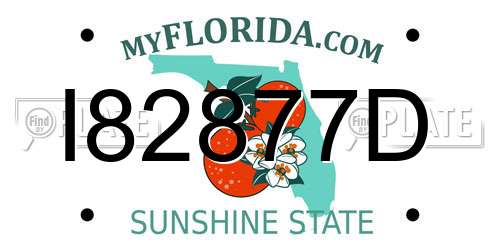 I82877D Florida License Plate