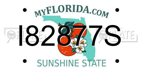 I82877S Florida License Plate