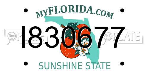 I830677 Florida License Plate