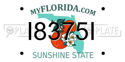 I8375I Florida License Plate