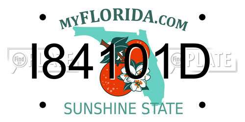 I84101D Florida License Plate