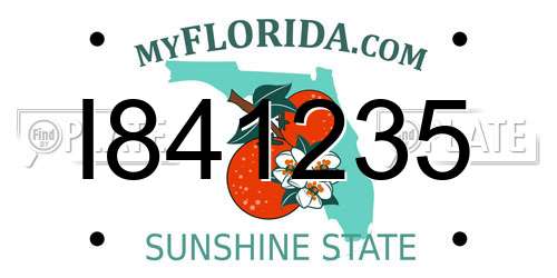 I841235 Florida License Plate
