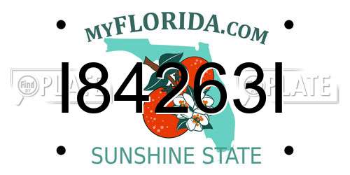 I84263I Florida License Plate
