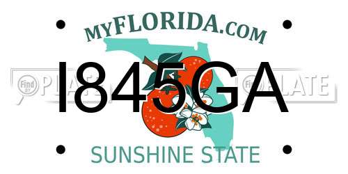I845GA Florida License Plate