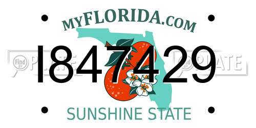 I847429 Florida License Plate