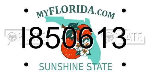 I850613 Florida License Plate
