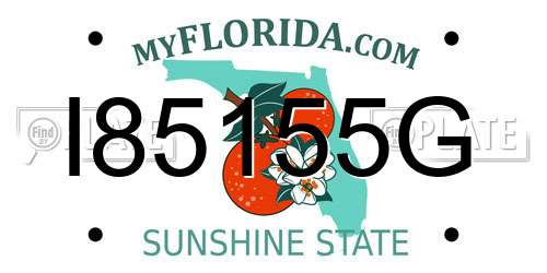 I85155G Florida License Plate