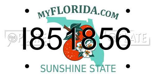 I851856 Florida License Plate