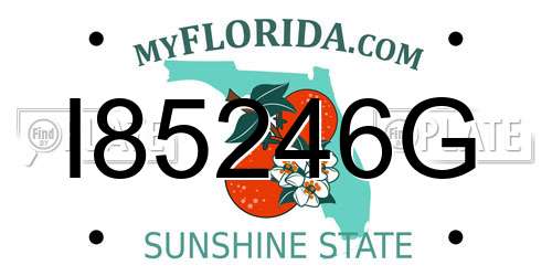 I85246G Florida License Plate