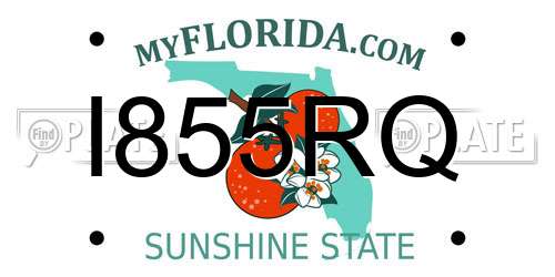 I855RQ Florida License Plate