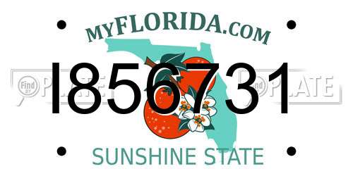 I856731 Florida License Plate