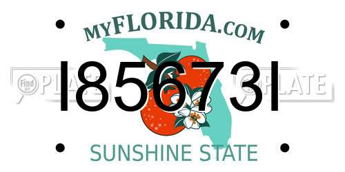 I85673I Florida License Plate