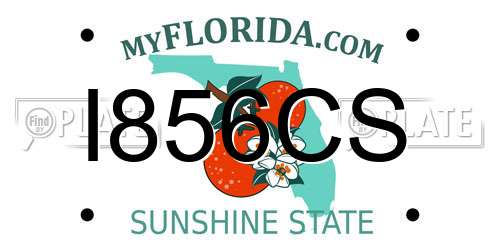 I856CS Florida License Plate