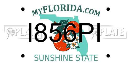 I856PI Florida License Plate