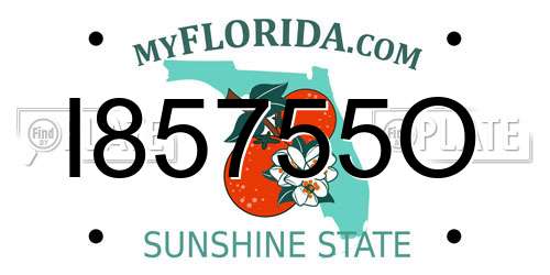 I85755O Florida License Plate