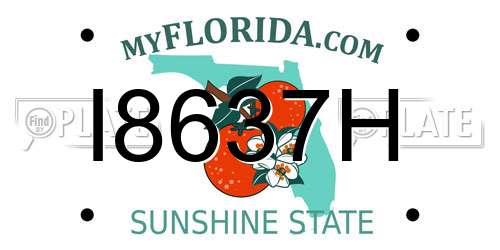 I8637H Florida License Plate