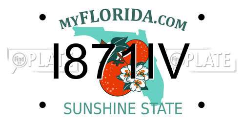 I871IV Florida License Plate