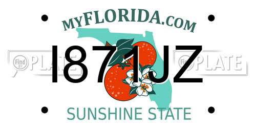 I871JZ Florida License Plate