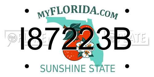 I87223B Florida License Plate