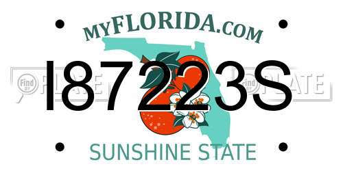 I87223S Florida License Plate