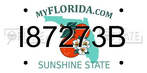 I87273B Florida License Plate