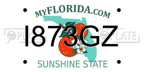 I873GZ Florida License Plate