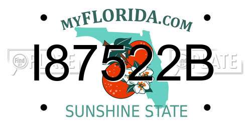 I87522B Florida License Plate