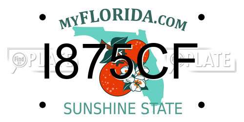 I875CF Florida License Plate