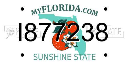 I877238 Florida License Plate