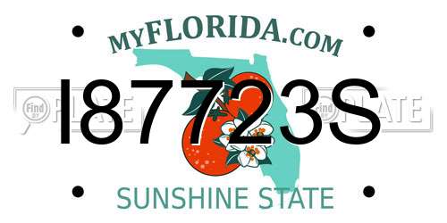 I87723S Florida License Plate