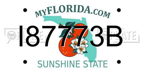I87773B Florida License Plate