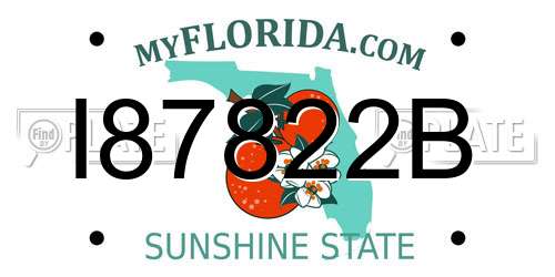 I87822B Florida License Plate