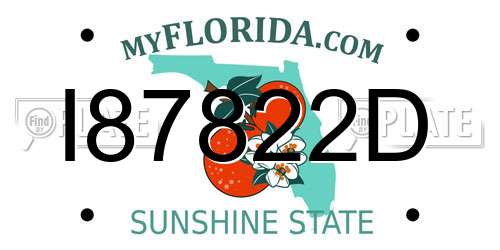 I87822D Florida License Plate