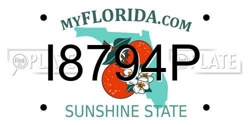 I8794P Florida License Plate