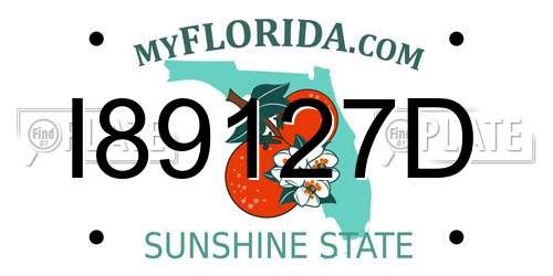 I89127D Florida License Plate