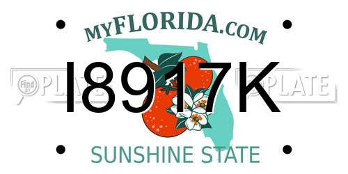 I8917K Florida License Plate