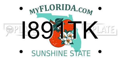 I891TK Florida License Plate